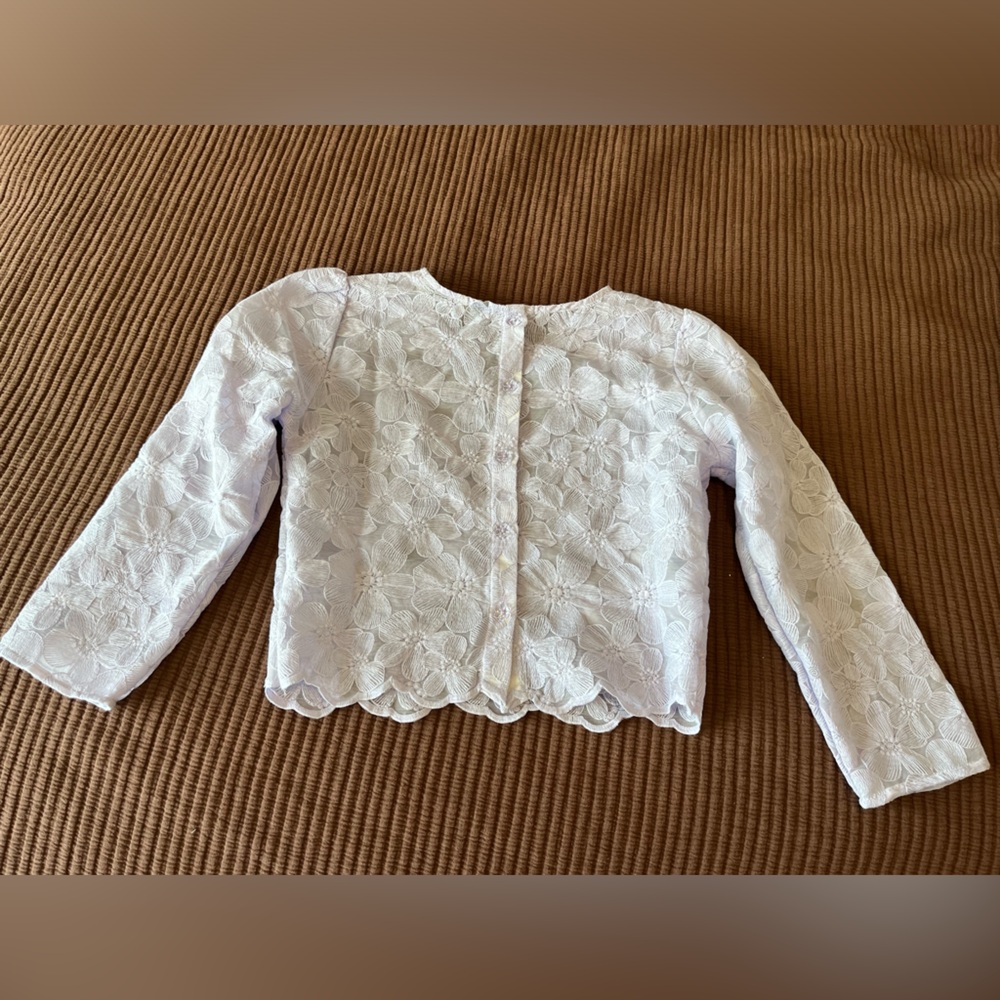 Las Pepas Light Purple Floral Embroidered Long Sleeve Sheer Shirt Floral Buttons